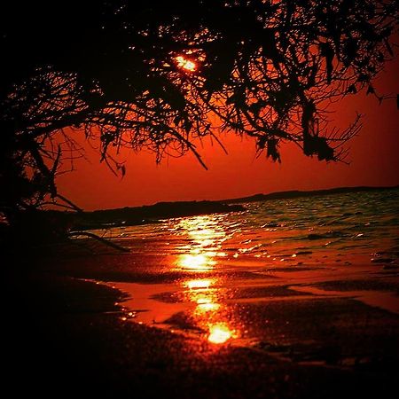 Fulhadhoo Inn Luaran gambar