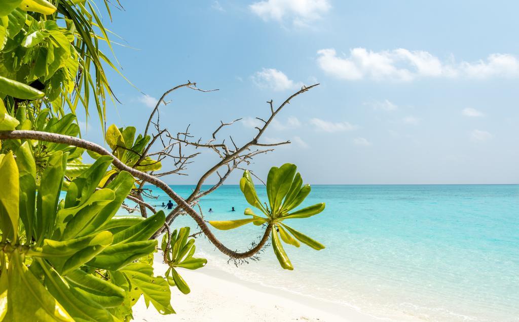 Fulhadhoo Inn Luaran gambar
